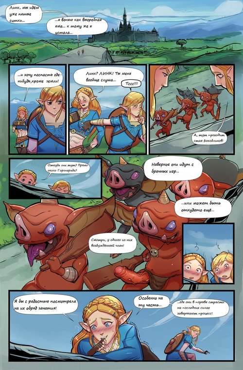 Legend Of Zelda. The Legend of Zelda Breath of Bokoblin Cock / Гоблинская ситуация